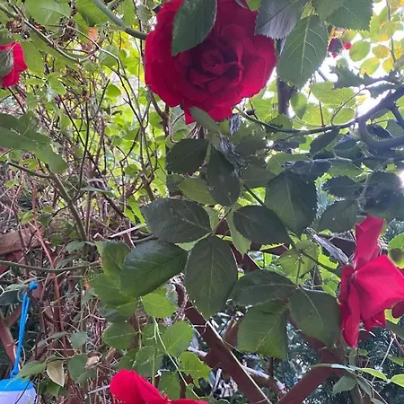 Hébergement de vacances Pawelkowo *