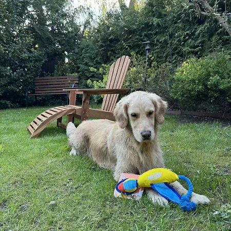 Pawelkowo Hébergement de vacances Kołczewo