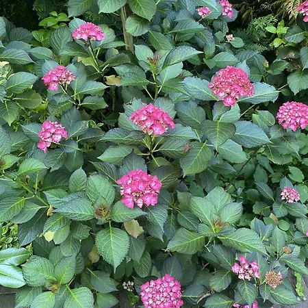 Pawelkowo Hébergement de vacances *