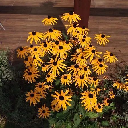 Pawelkowo Hébergement de vacances *