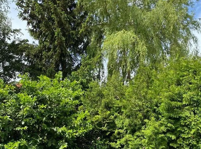 Pawelkowo Dom wakacyjny