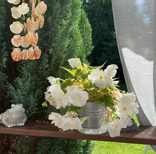 Pawelkowo Dom wakacyjny