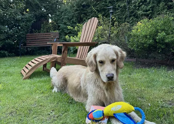 Pawelkowo Dom wakacyjny Kołczewo