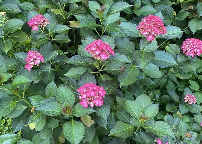 Pawelkowo Dom wakacyjny *